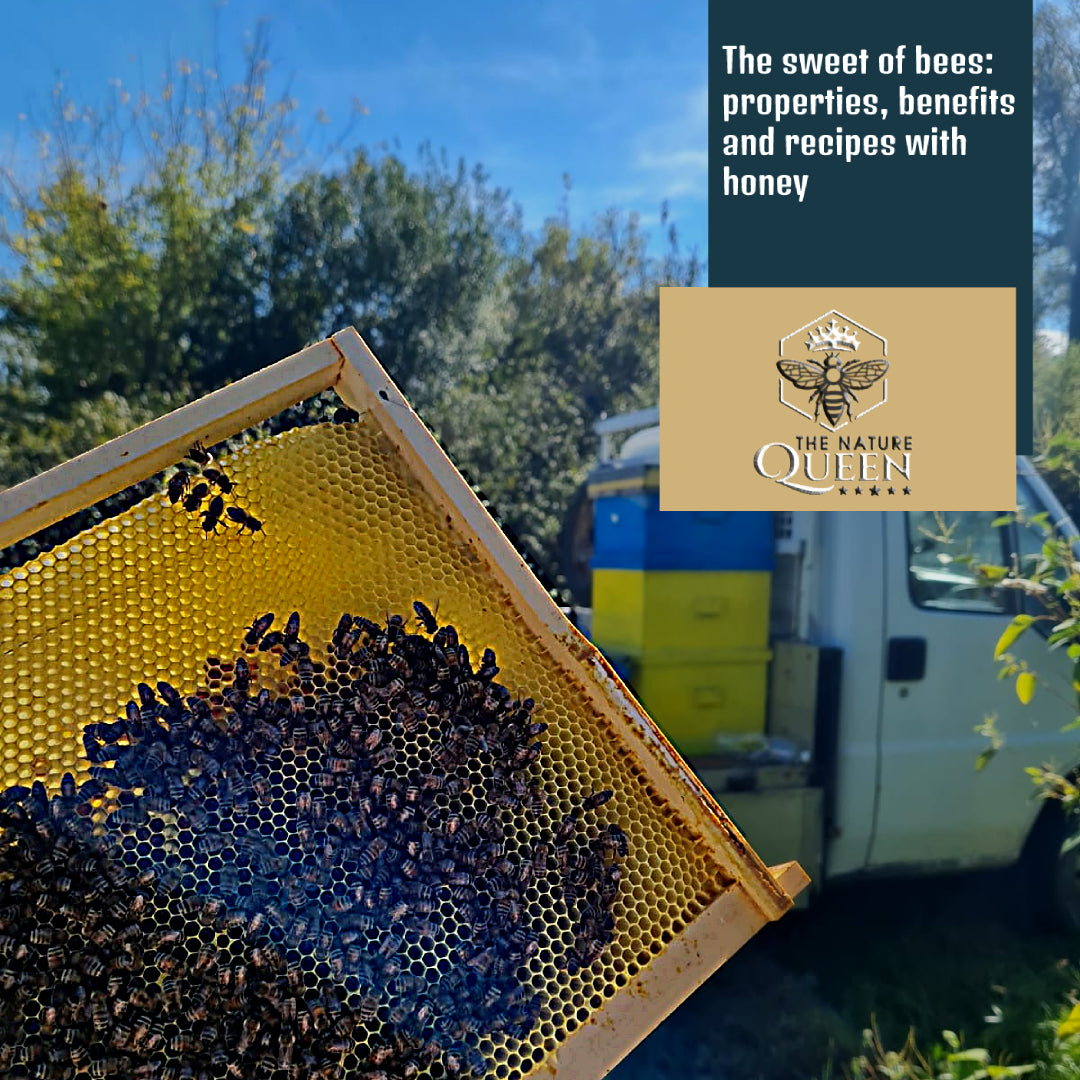 The sweet of bees: properties, benefits and recipes with honey