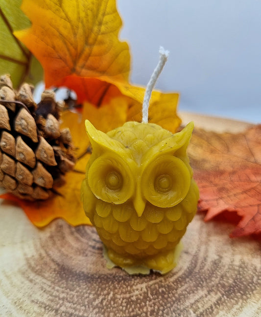 100% Beeswax Candle - Cute Owl