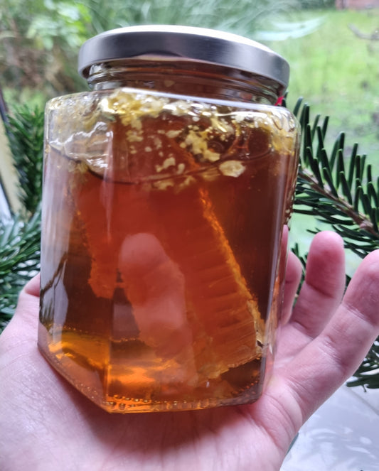 100% Organic Polyfloral Honey With Honeycomb- 260/530g