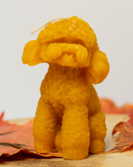 100% Beeswax Candles - Dog Poodle Candle - Medium