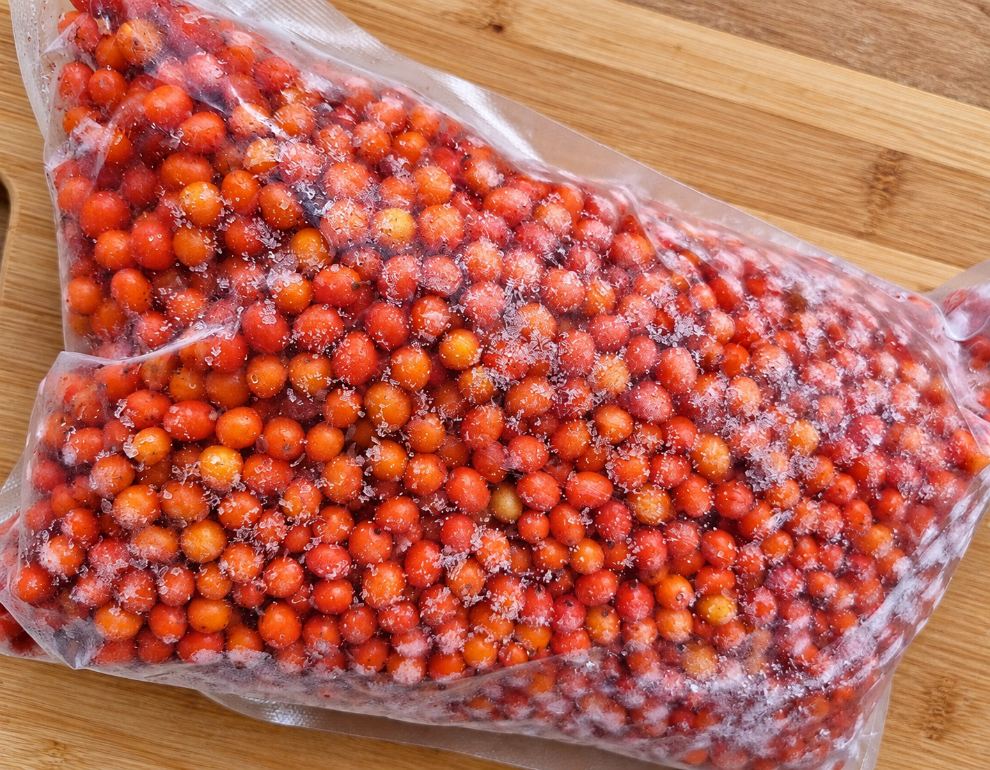 1kg bag of frozen sea buckthorn berries ready for delivery