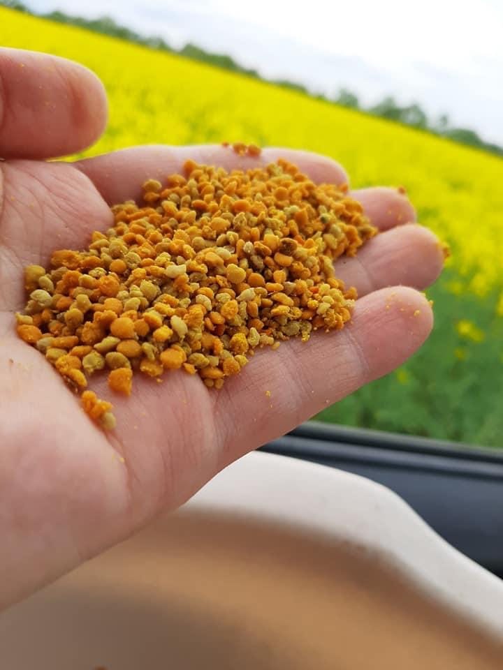 Bee Pollen: Benefits, Nutrition, Uses & Everything You Need to Know