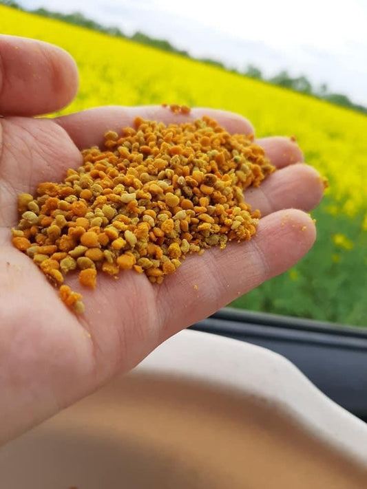 Bee Pollen: Benefits, Nutrition, Uses & Everything You Need to Know