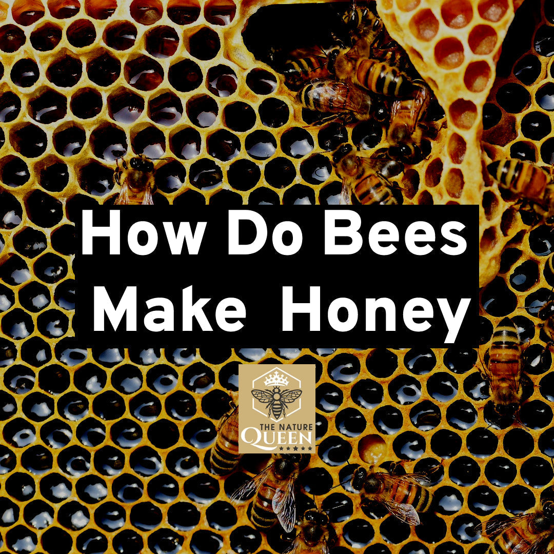 How Do Bees Make Honey?