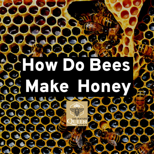 How Do Bees Make  Honey