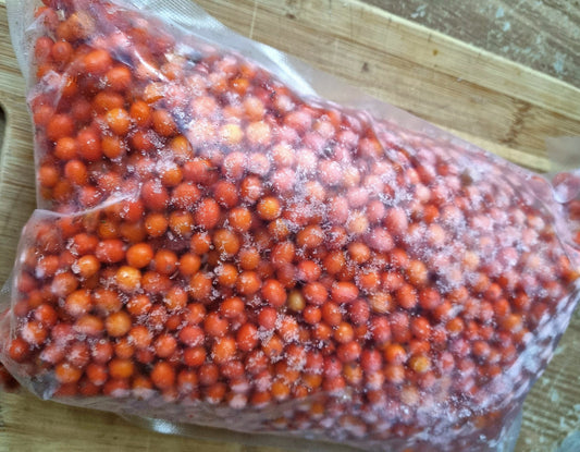EU Organic Sea Buckthorn Whole Berries – 1kg | Frozen, Raw & Nutrient-Rich