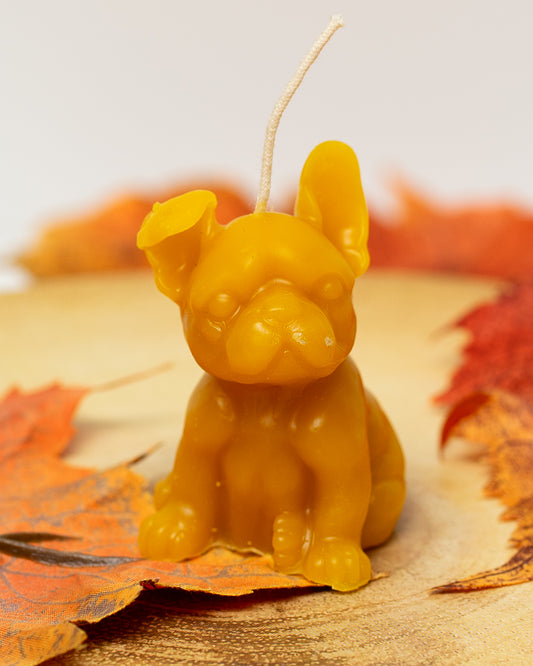 100% Beeswax Candle - Dog - French Bulldog - Small