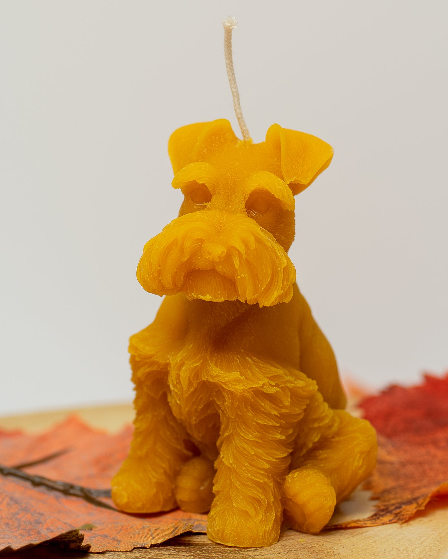 100% Beeswax Candle - Dog - Terrier - Medium