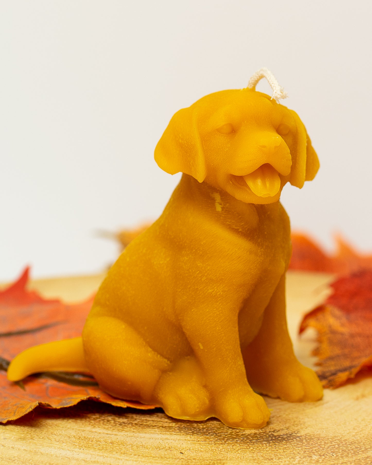 100% Beeswax Candle - Dog - Labrador Retriever