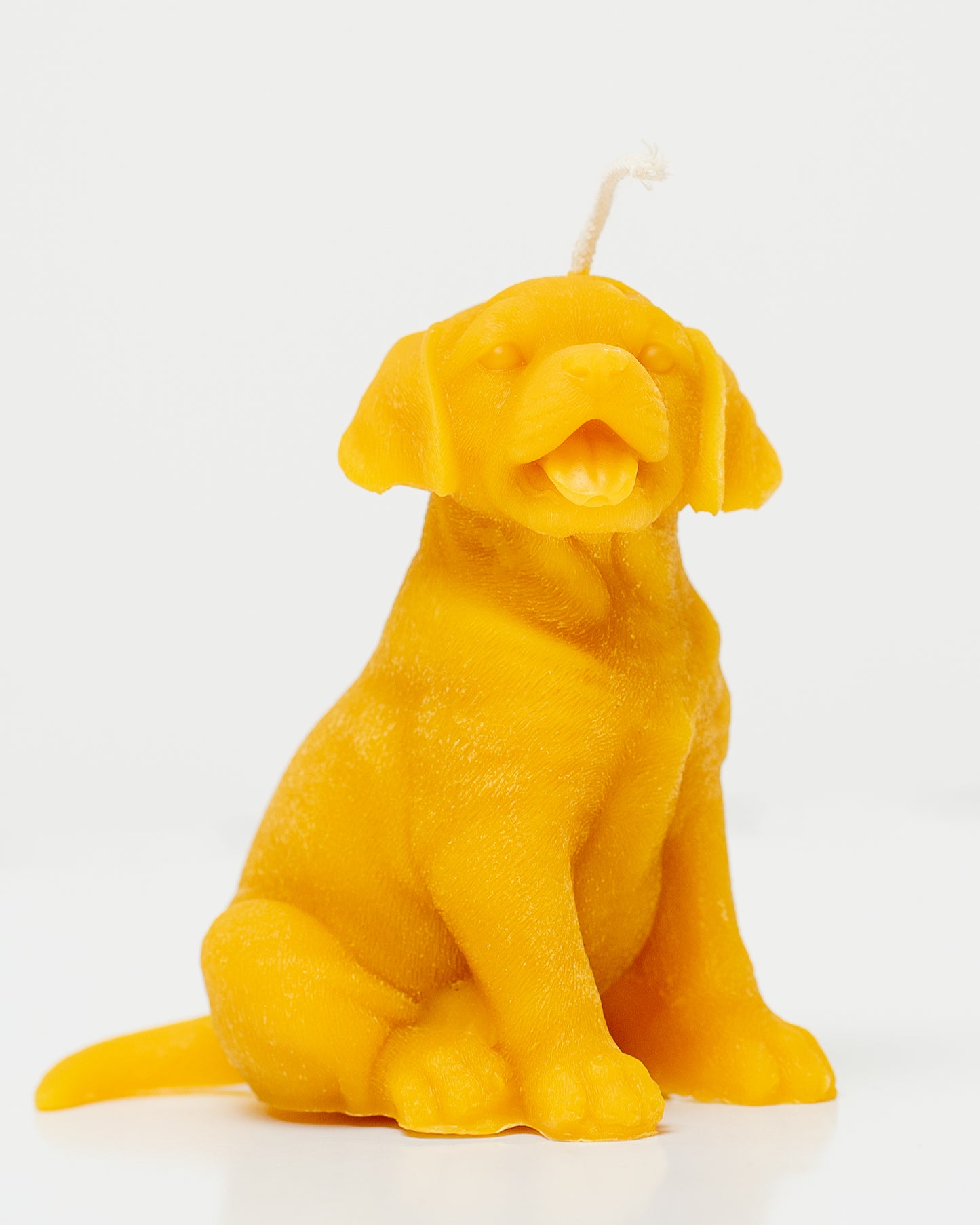 100% Beeswax Candle - Dog - Labrador Retriever