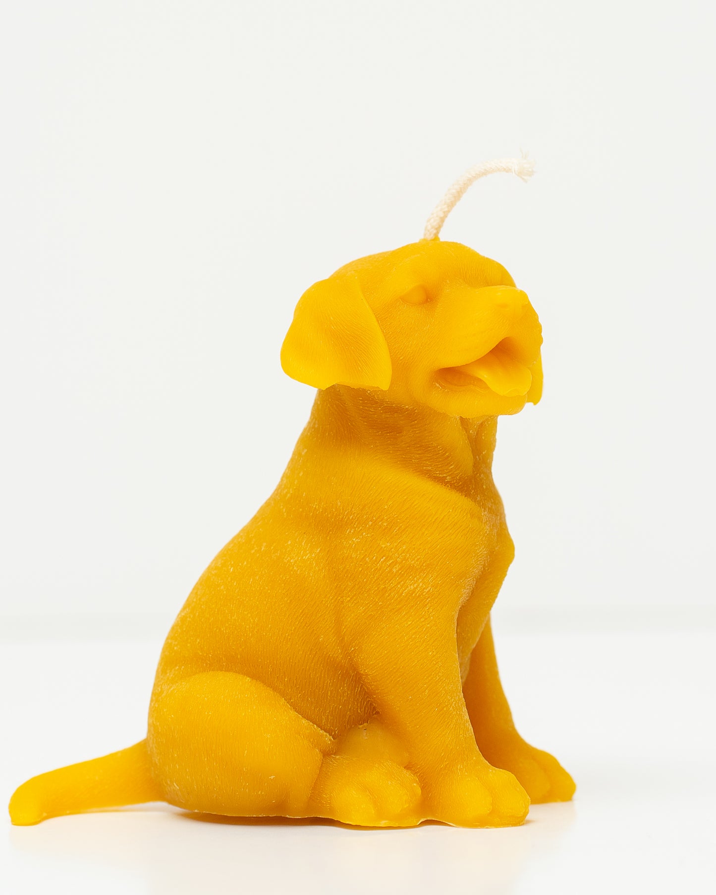 100% Beeswax Candle - Dog - Labrador Retriever