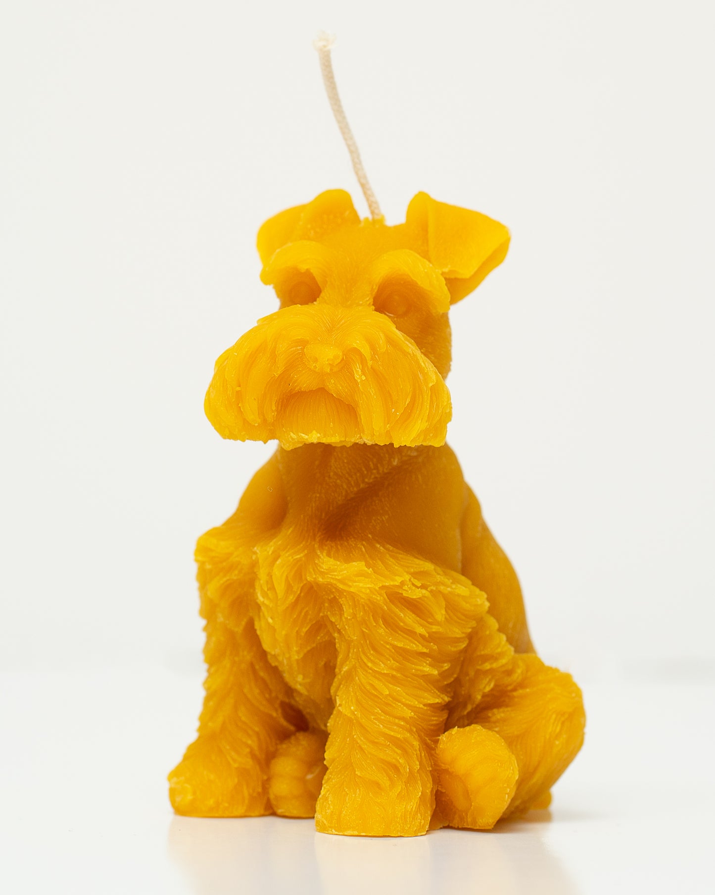 100% Beeswax Candle - Dog - Terrier - Medium