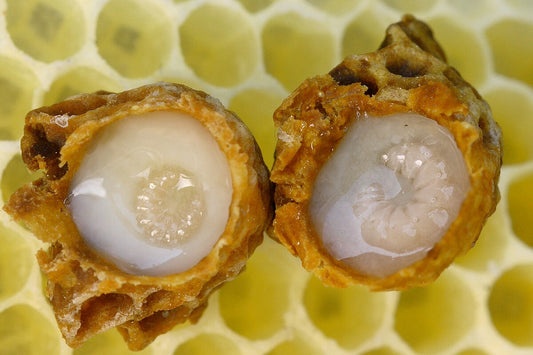 Organic Royal Jelly 